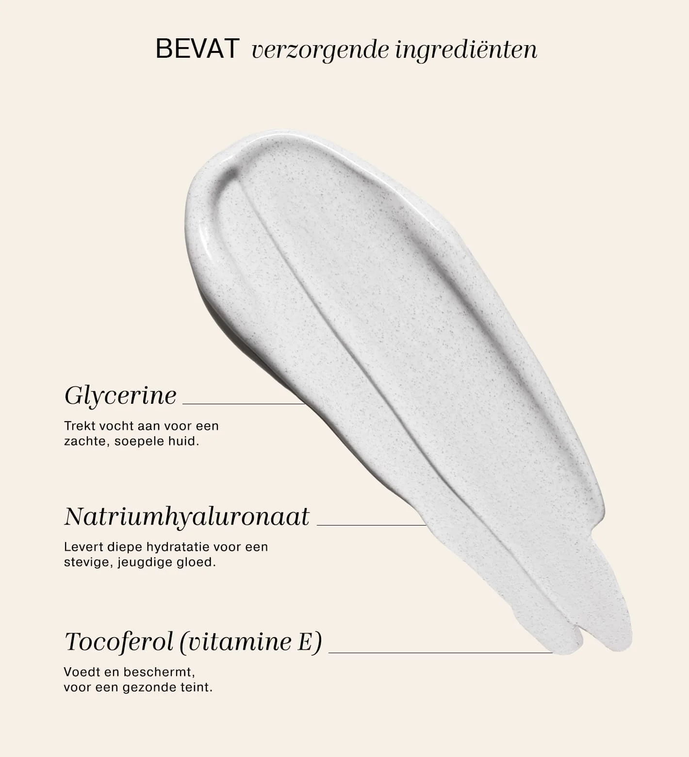 Miniatuur 5